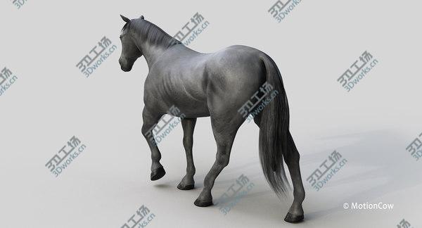 images/goods_img/20210312/Horse PRO ( Black ) 3D model/3.jpg
